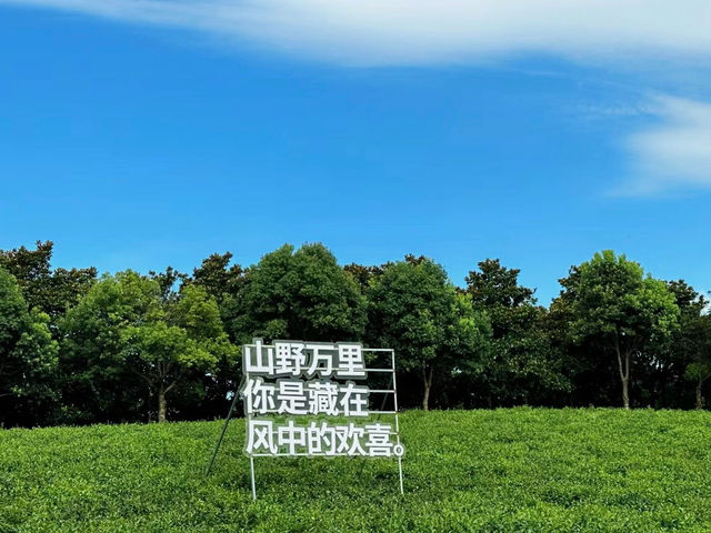 山野萬里，你是藏在風中的喜歡