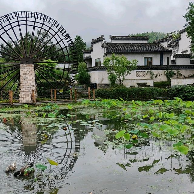西遞既賣美景又賣肉