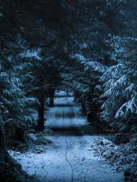 🌨️❄️ Vancouver: A Snowy Paradise Like No Other! 🌨️❄️