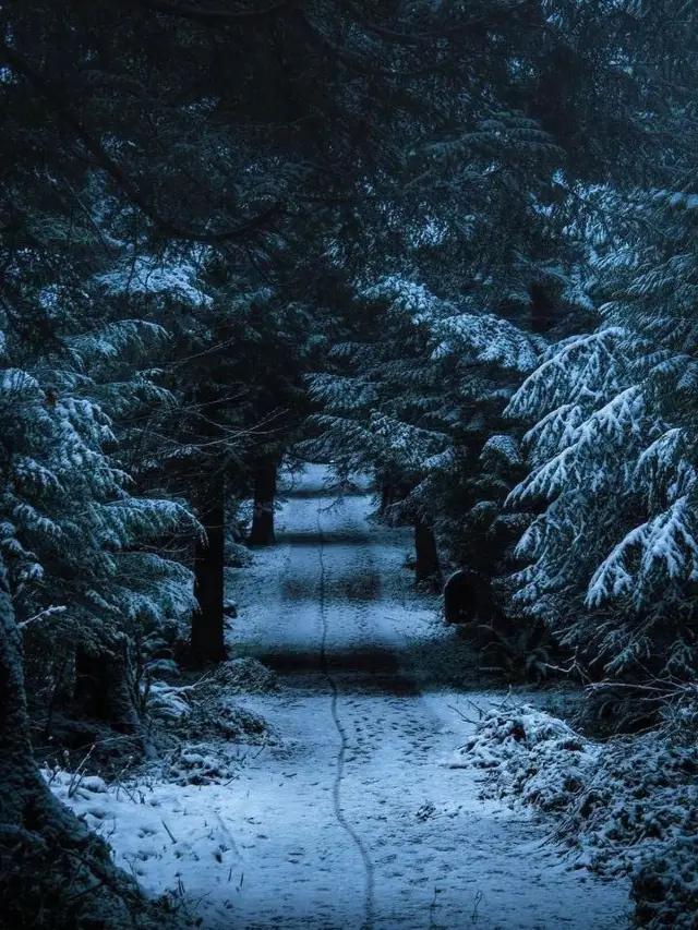 🌨️❄️ Vancouver: A Snowy Paradise Like No Other! 🌨️❄️