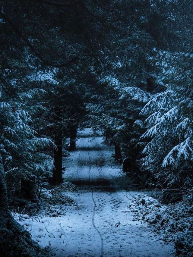 🌨️❄️ Vancouver: A Snowy Paradise Like No Other! 🌨️❄️