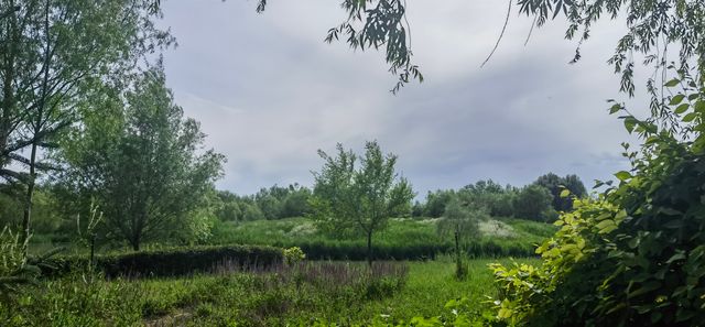 張掖國家濕地公園