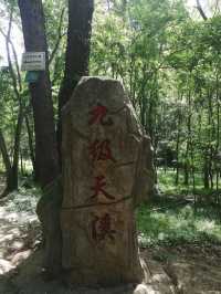 大口國家森林公園探險全攻略！