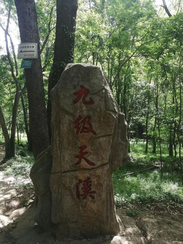 大口國家森林公園探險全攻略！
