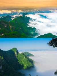 欲疏心中惆怅意，问道金顶塔云山