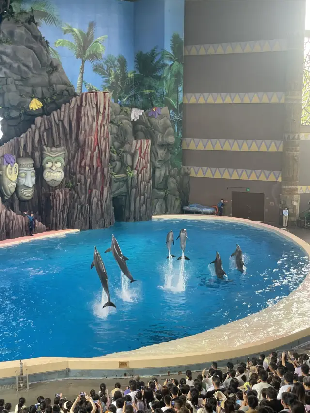 Zhuhai Chimelong - Marine Animals, Stunning Fireworks