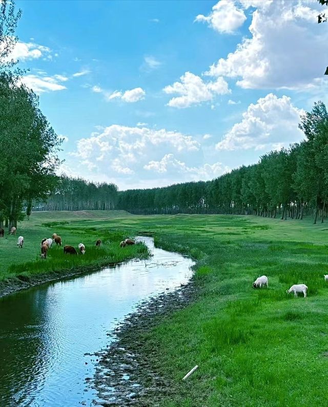 沈北法庫獾子洞水庫-適合一個人發呆的地方
