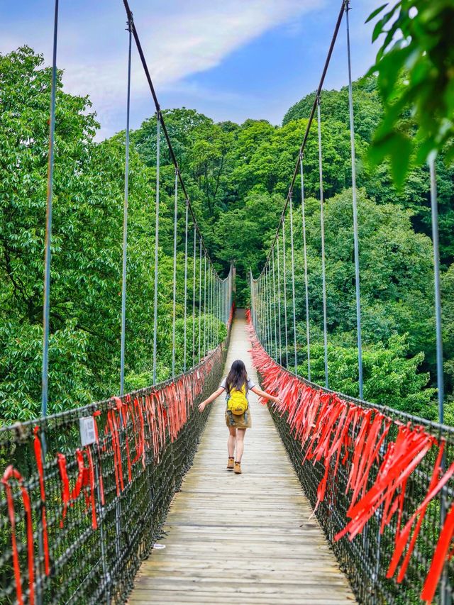 私藏路線後悔沒有早點發現這條隱秘古道！|||這是就在成都