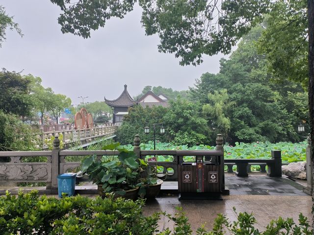荷聚金山