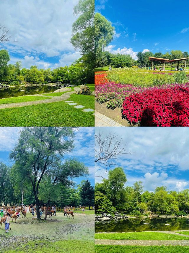 太陽島｜哈爾濱的莫奈花園