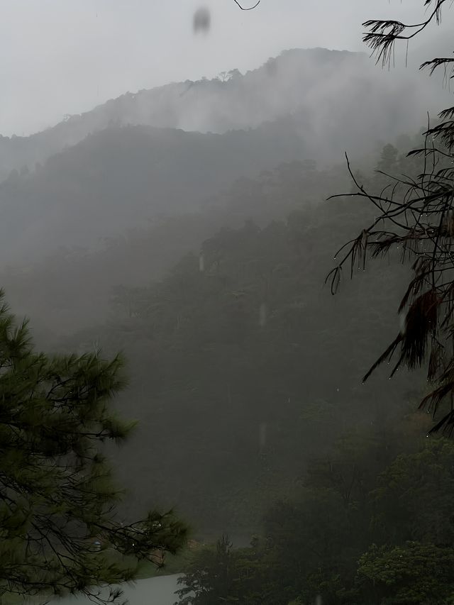 被低估的清遠仙山無痛住進風景裡