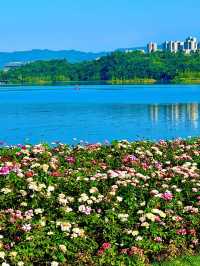 湖濱廣場(興隆湖)