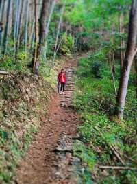 寧波周邊｜仙居公盂村徒步，有山有水有竹林