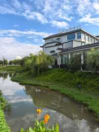 濕地公園內的度假酒店
