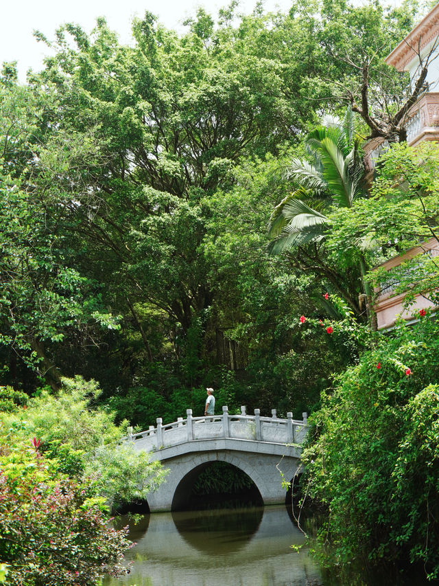 Seek tranquility and escape the summer heat in midsummer, come to Yunfu Xinxing Longshan Hot Spring Hotel!