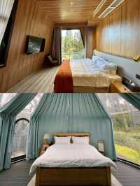森林裡的泡泡屋和小木屋。