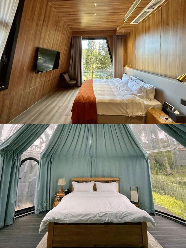 森林裡的泡泡屋和小木屋。