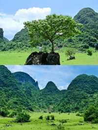 廣西柳州的鹿寨響水石林絕對是一個不容錯過的絕景!
