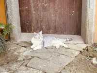 天竺佛國 北高峰靈順寺韜光寺永福寺法喜寺。