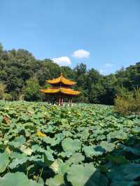 富樂山公園。
