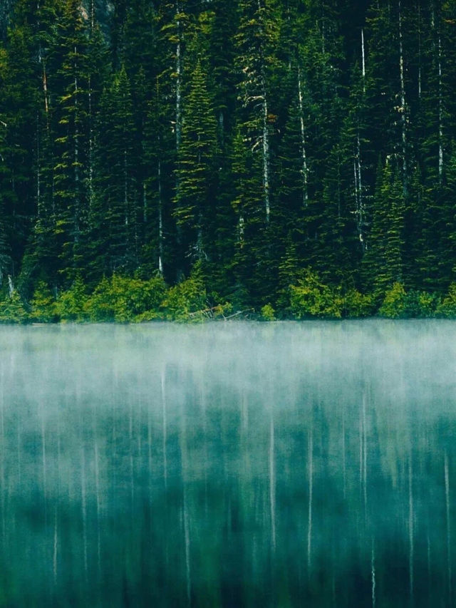 雲南哀牢山走紅！部分區域已被開發成景區。