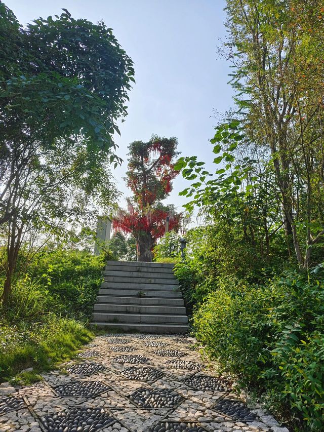 遂寧龍鳳鎮——被遺忘的帶感古鎮。 遂寧龍鳳鎮——被遺忘的帶感古鎮。