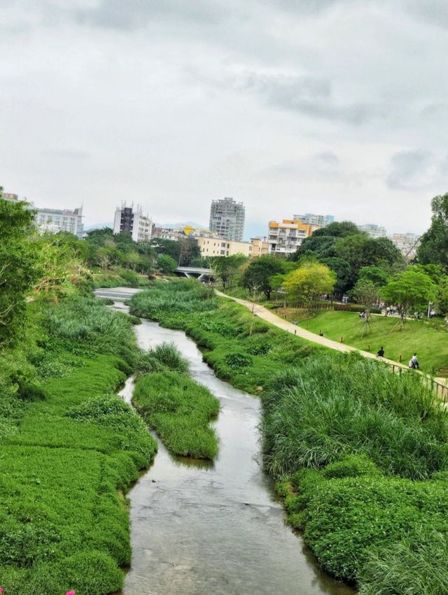 深圳｜隱匿於繁華都市的心靈綠洲，徒步騎行的絕佳勝地。