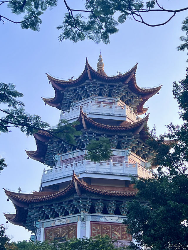 開遠瀘江公園。。