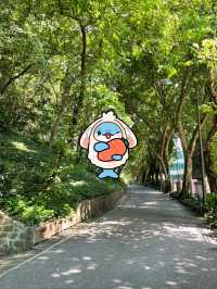 廣州越秀公園|城市靈魂的安逸。