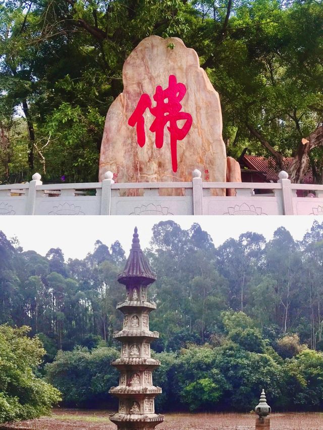 隱藏在佛山南海的「世外桃源」。
