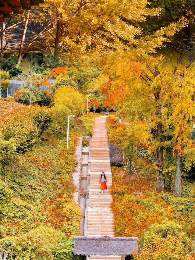 湖北隨州大洪山景區 | 秋日親子遊好去處。