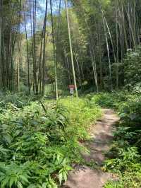 宜賓 僰王山｜遠離霧霾 走進氧吧。