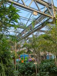 南宮五洲植物園——秋季親子遊好去處。