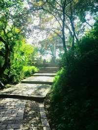 蘇州上方山景區（）。