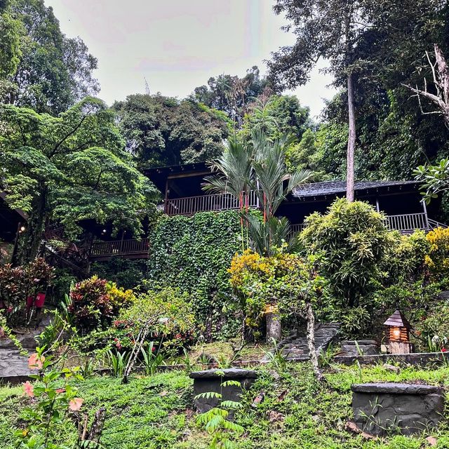 《大紅花度假村：沙巴的桃源仙境》。