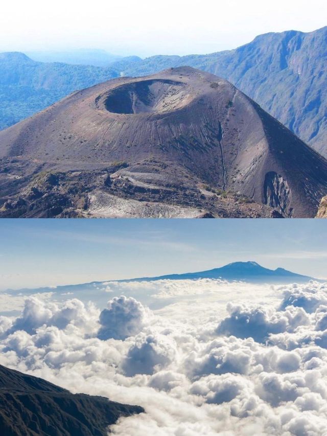 我在阿魯沙的奇遇之旅：與野生動物的親密接觸。
