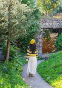 束河古鎮住進陽光滿溢的森林大院。