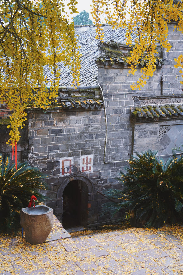 成都周邊1H｜赴一場千年古寺的銀杏之約。