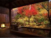 Have you ever experienced such a hot spring? Nyuto Onsen Village is a must-visit!