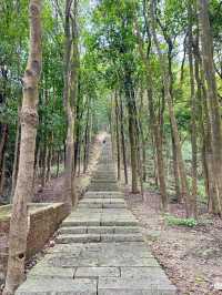 廣州增城區太子坑森林公園|這觀賞日落勝地你不會還不知道吧。