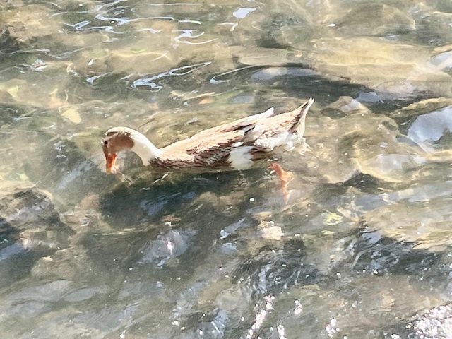 寧波自駕遊