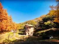 Discover the Enchanting Moomin Garden