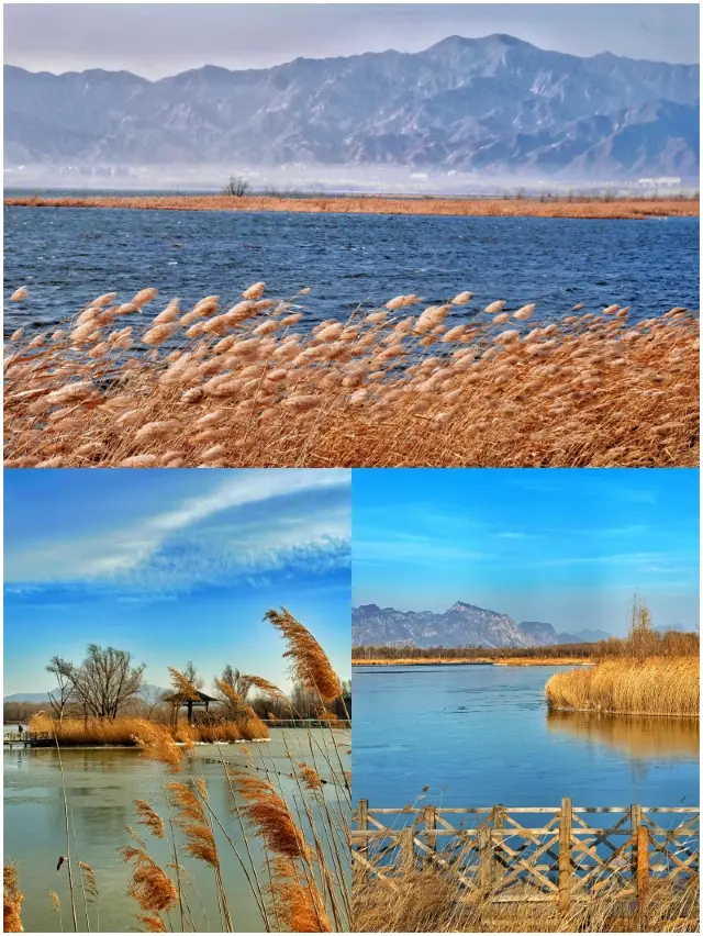 My friends are asking if I went abroad to Lake Baikal