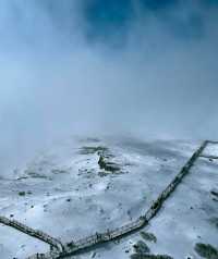 到看雪山的季節啦！！！
