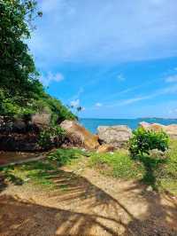 Sri Lanka Whale Watching Adventure
