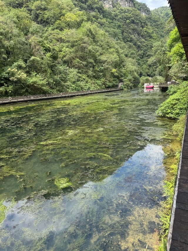 3日玩轉宜昌超詳細攻略快收藏 3日玩轉宜昌超詳細攻略快收藏