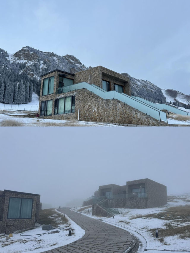 簡直就是中國瑞士！！溫泉賽里木湖水雲杉野奢營地