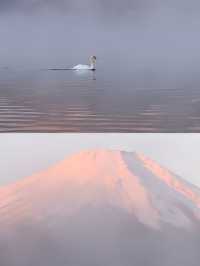 在川西經歷了我最狼狽的一次徒步