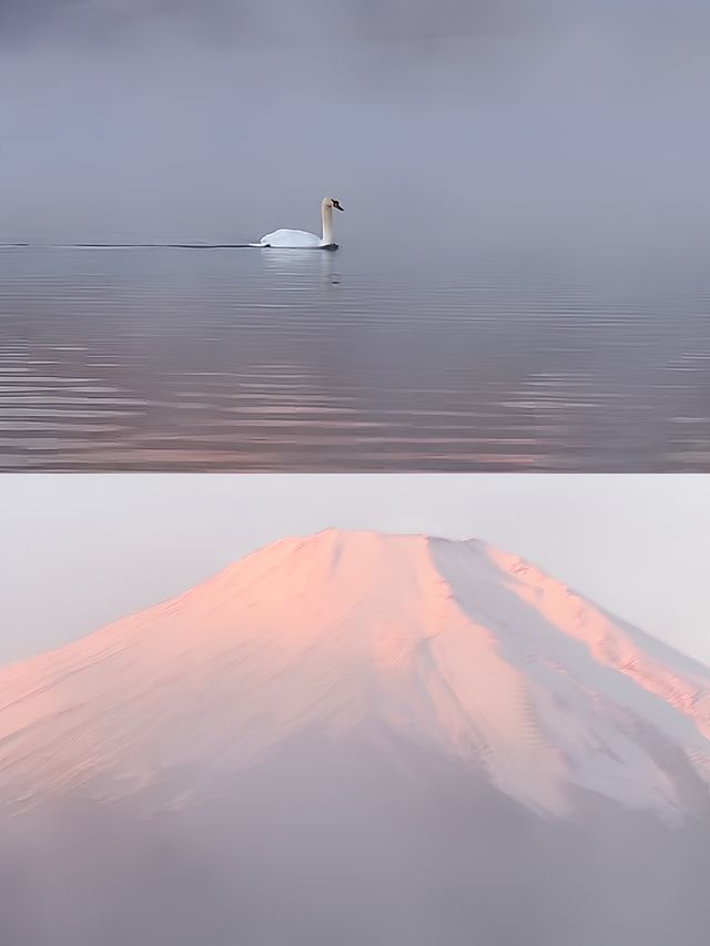 在川西經歷了我最狼狽的一次徒步