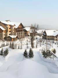 長白山柏悦｜木屋、滑雪、白樺林中的冰雪秘境